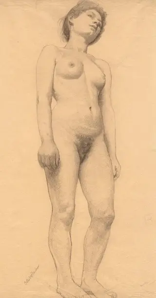 Standing Female Nude