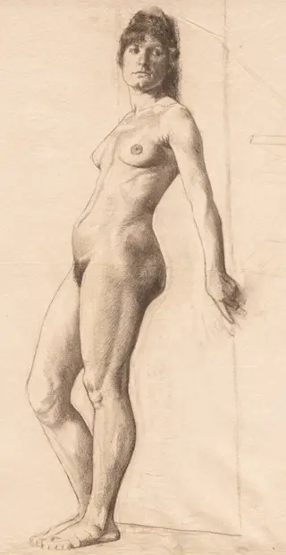 Standing Nude Model