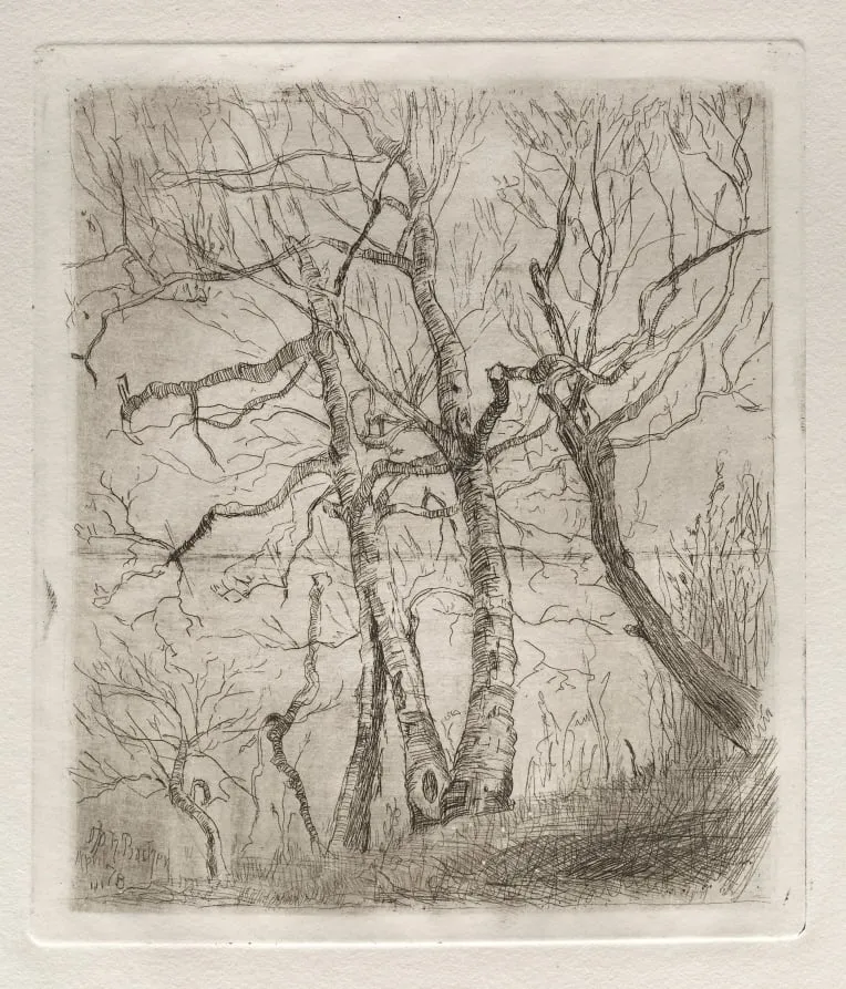 Trees, by Otto H. Bacher, 1878