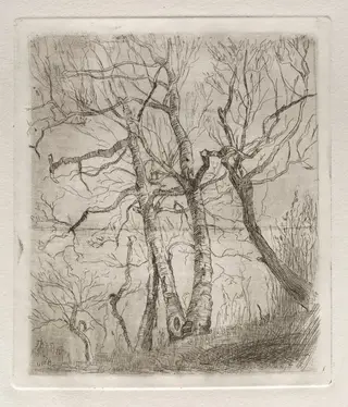 Trees, by Otto H. Bacher