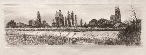 Cornfield, by Otto Henry Bacher
