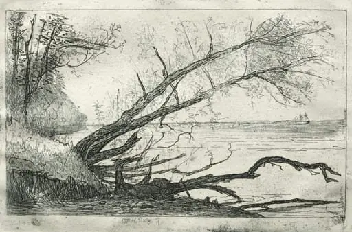 Old Sycamore, by Otto Henry Bacher