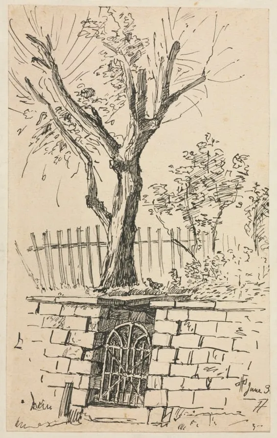 Tree on Top of a Stone Wall, Cleveland, by Otto Henry Bacher, 1887