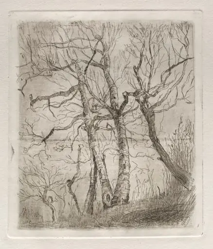 Trees, by Otto Henry Bacher