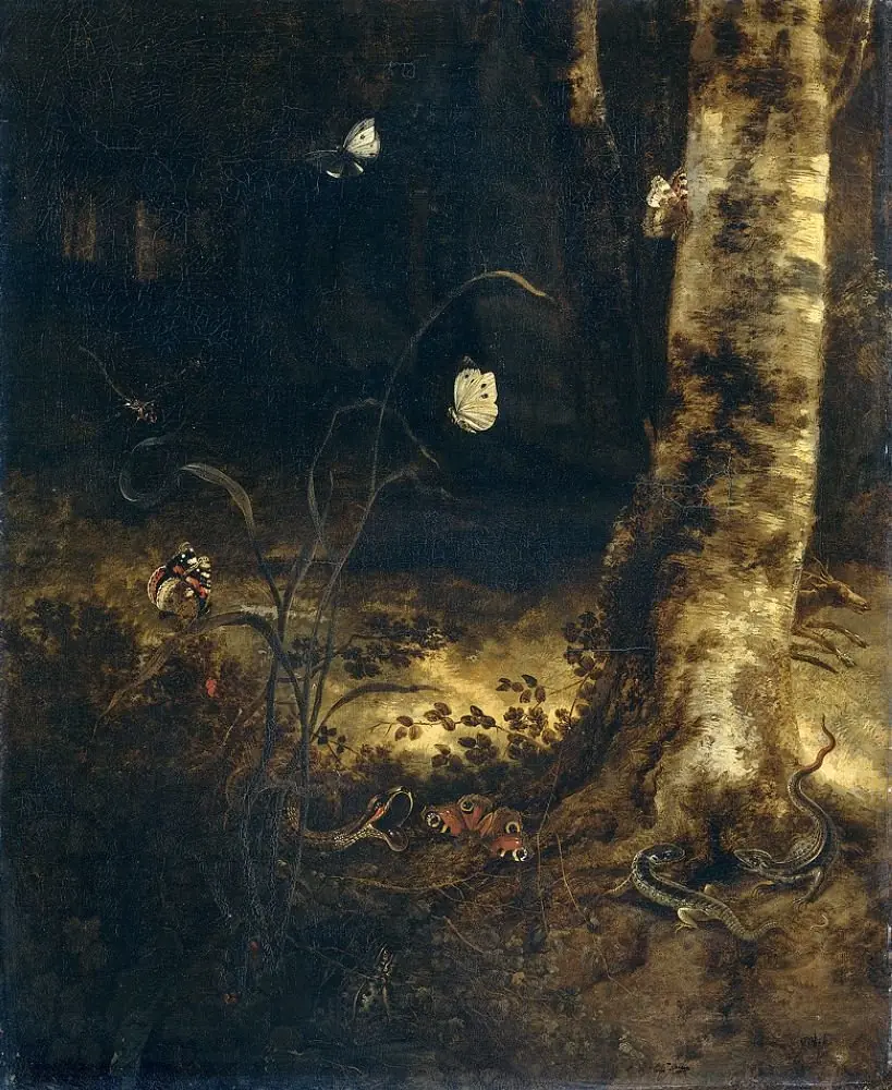 A forest floor with a snake, lizards, butterflies and other insects, by Otto Marseus van Schrieck