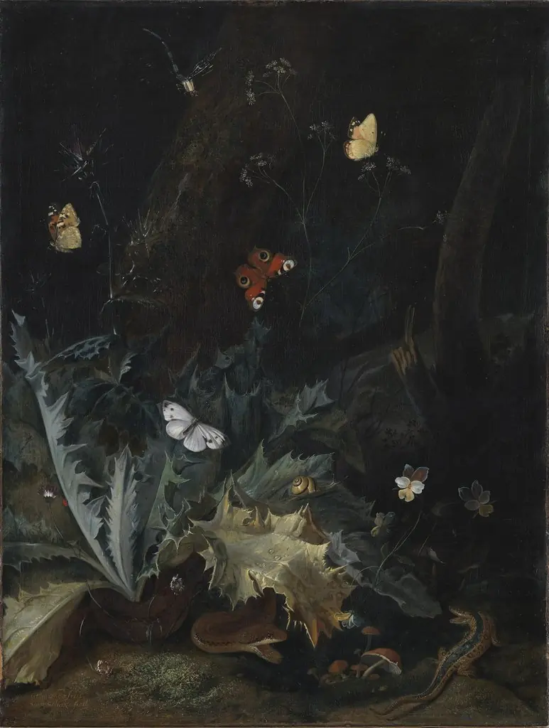 A Forest Floor with a Thistle, a Snake, a Lizard and Butterflies, by Otto Marseus van Schrieck