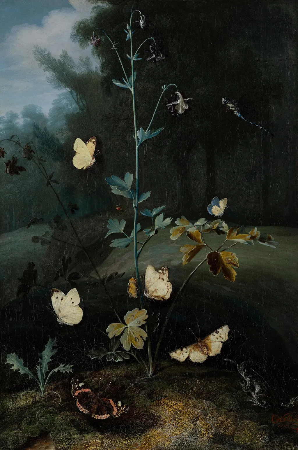 Columbine surrounded by butterflies, by Otto Marseus van Schrieck, oil, 1672
