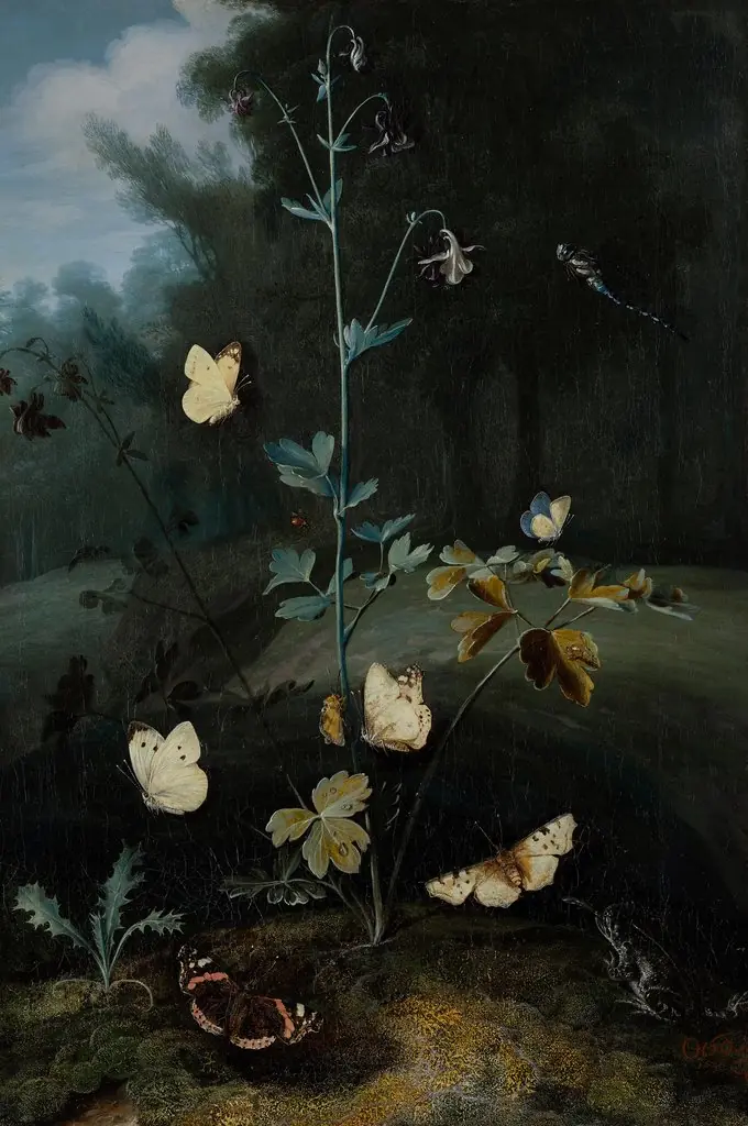 Columbine surrounded by butterflies, by Otto Marseus van Schrieck