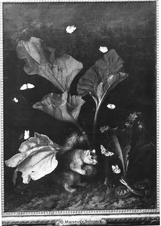 Forest floor still life with rodent, by Otto Marseus van Schrieck, oil, 1670