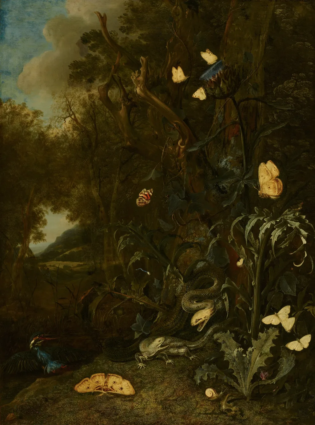 Plants and Insects, by Otto Marseus van Schrieck, oil, 1665