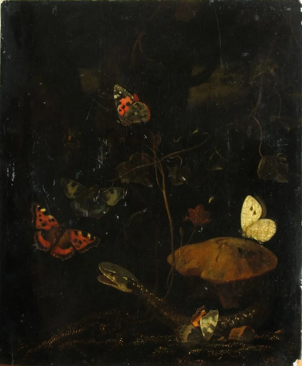 Șarpe și fluturi la rădăcina unui copac, by Otto Marseus van Schrieck, unspecified, 1650