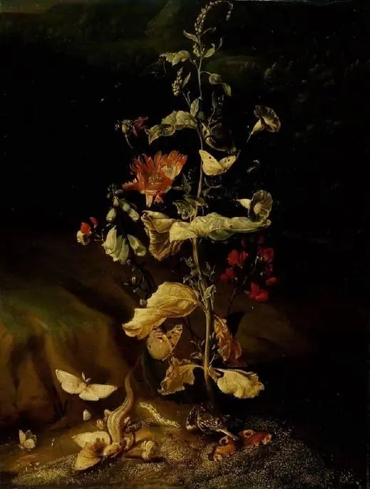 Still life with flowers, by Otto Marseus van Schrieck