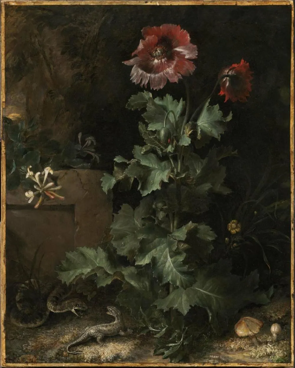 Still Life with Snake and Lizard, by Otto Marseus van Schrieck, oil, 1670