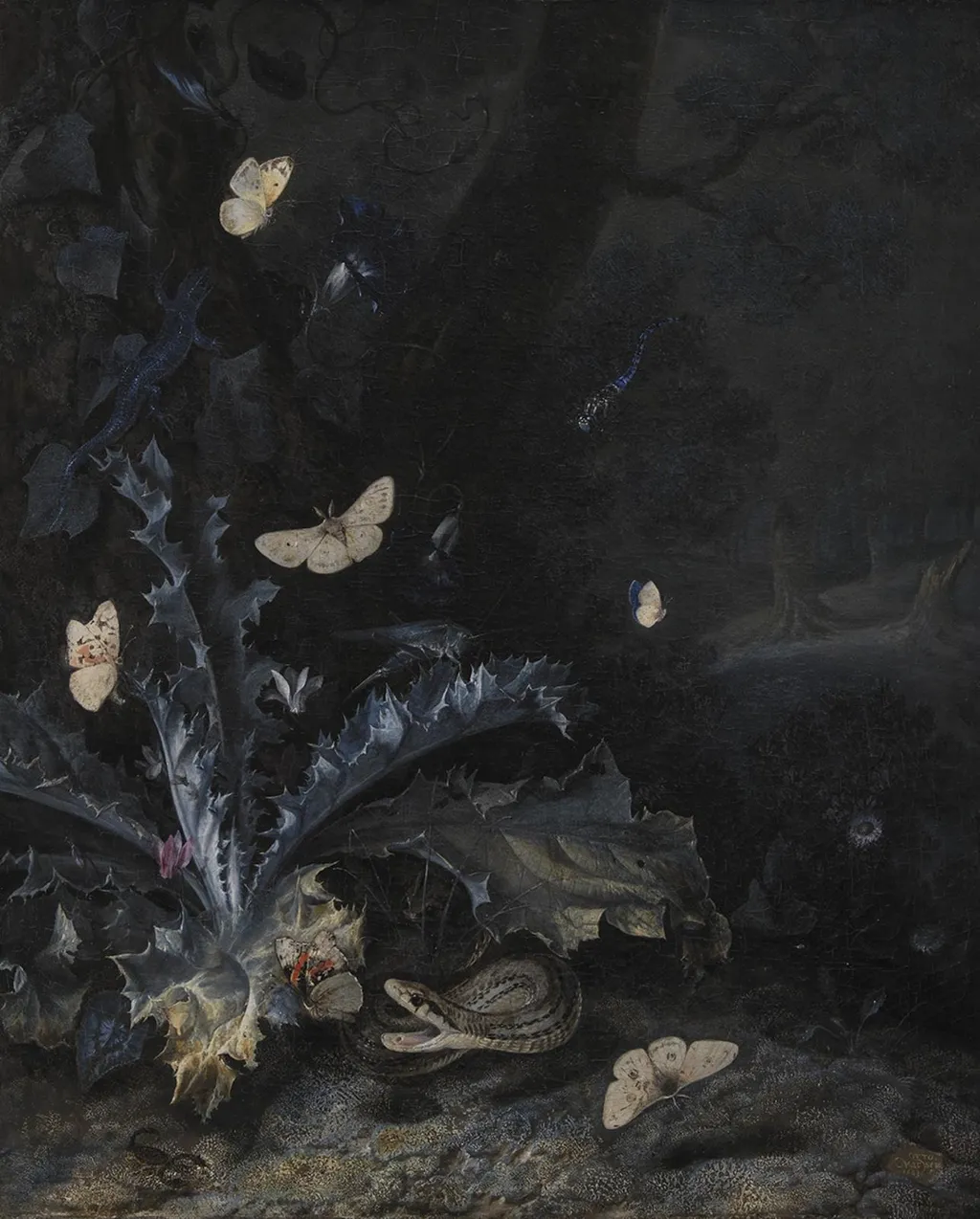 Still Life with Thistle and Snake, by Otto Marseus van Schrieck, oil, 1663
