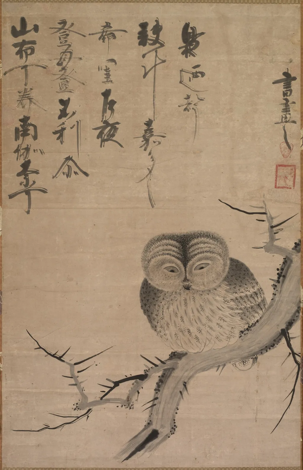 Owl, unspecified, 1635