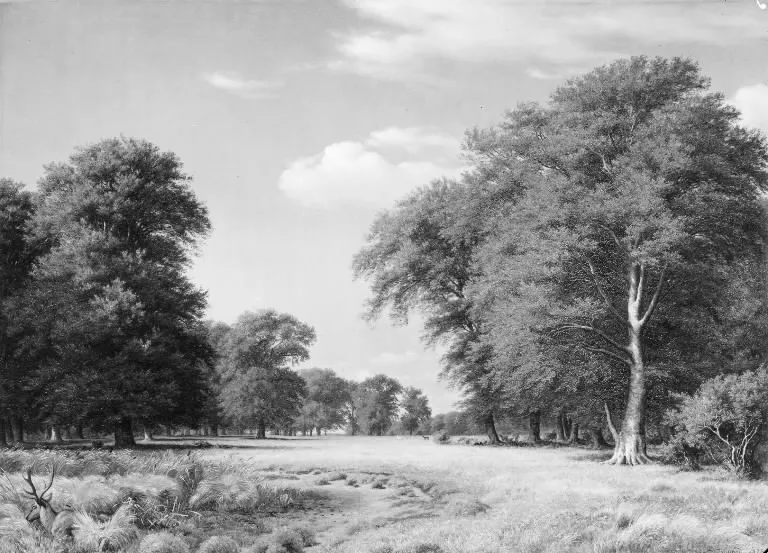 A Summer's Day in the Jægersborg Deer Park, North of Copenhagen, by P. C. Skovgaard, oil, 1848