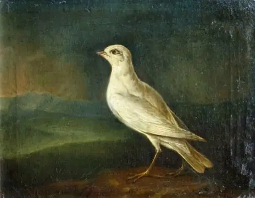 Canar ; pandant: Cintezoi, by P(hilipp) Johann Purgau (Burgau)