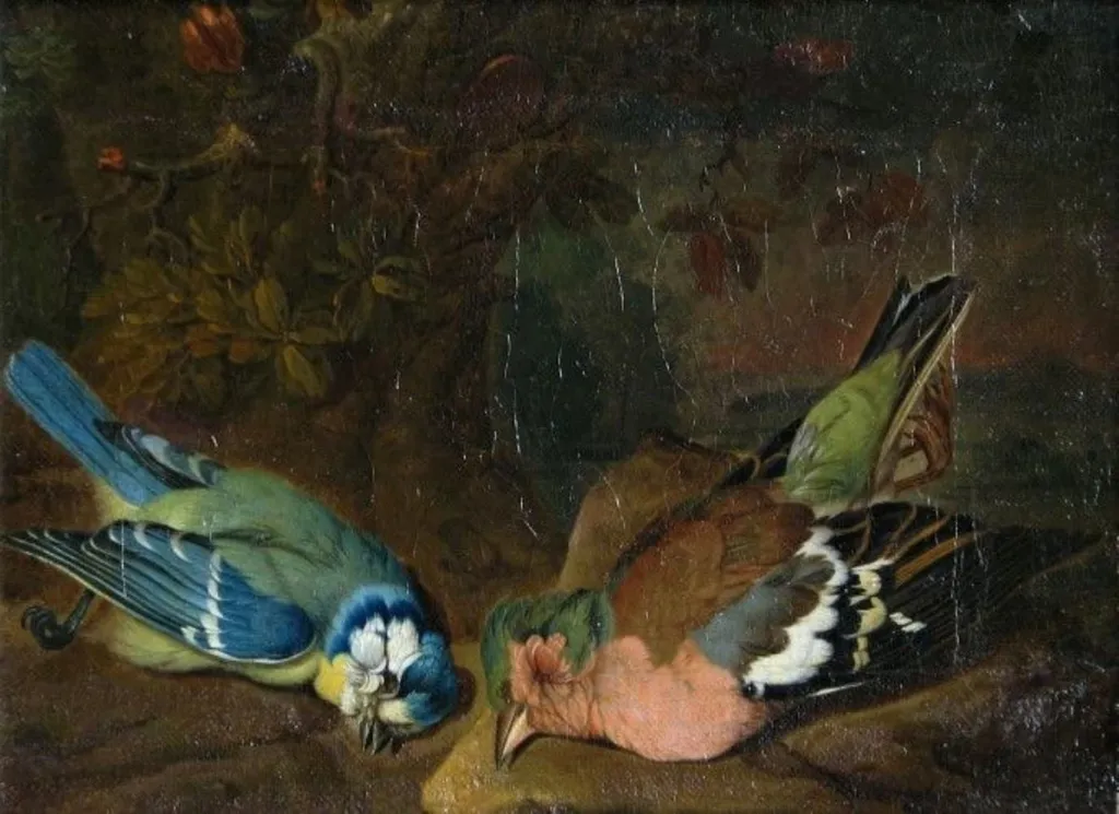Pițigoi și cintezoi, by P(hilipp) Johann Purgau (Burgau), unspecified