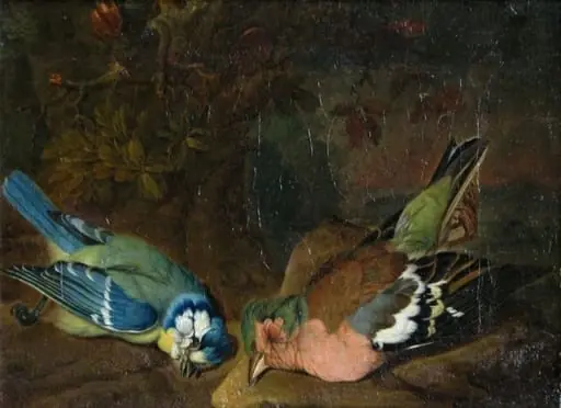Pițigoi și cintezoi, by P(hilipp) Johann Purgau (Burgau)
