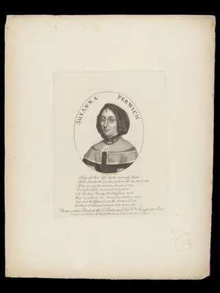 H Beard Print Collection