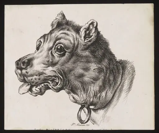 Untitled, by P. Simonau