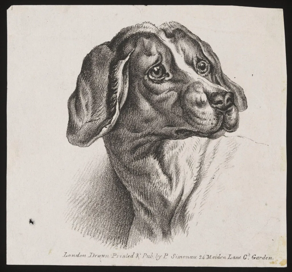 Untitled, by P. Simonau, 1850