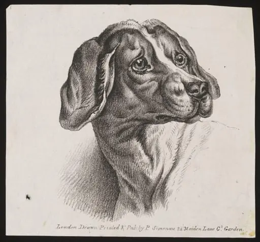Untitled, by P. Simonau
