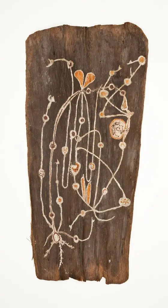 Bark Painting, by Paddy Compass Namatbara
