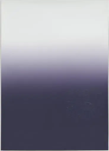 Untitled, by Pae White