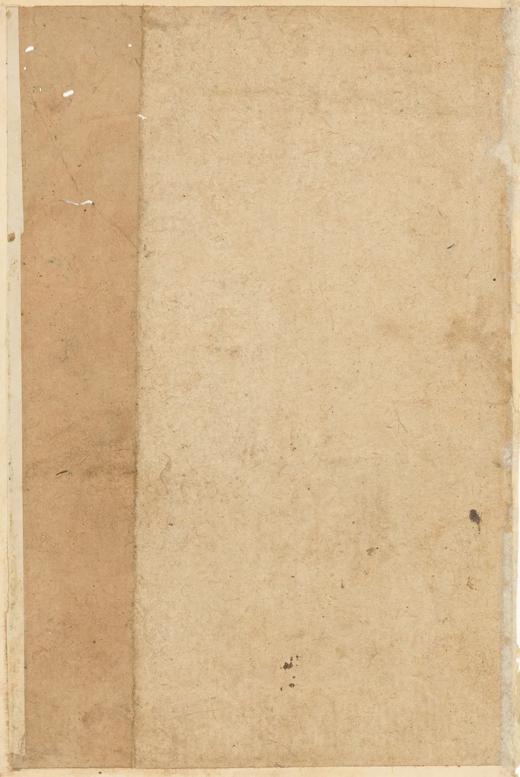Page from Tales of a Parrot (Tuti-nama): blank page, unspecified, 1560