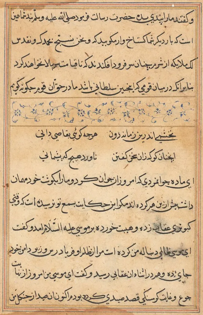 Page from Tales of a Parrot (Tuti-nama): text page