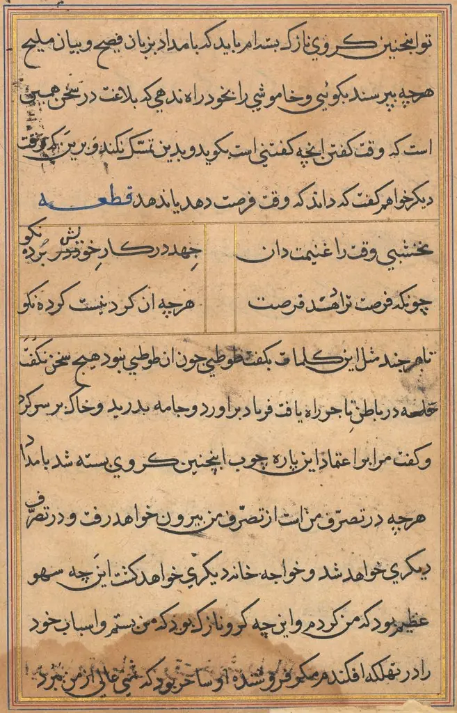 Page from Tales of a Parrot (Tuti-nama): text page