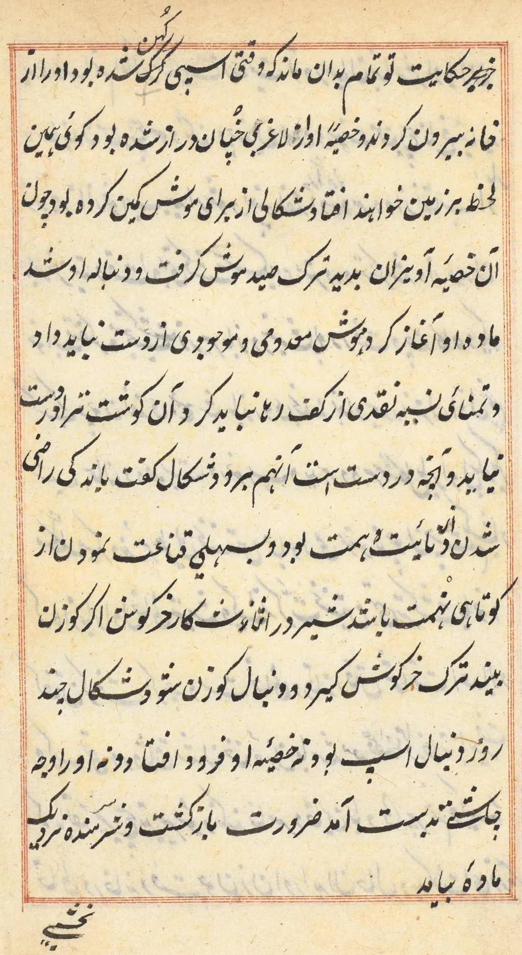 Page from Tales of a Parrot (Tuti-nama): text page, unspecified, 1560
