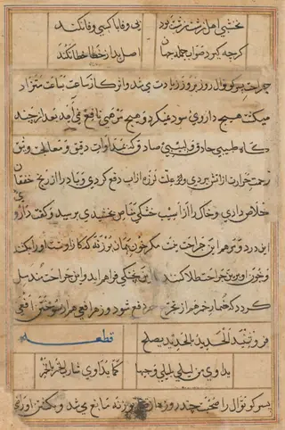 Page from Tales of a Parrot (Tuti-nama): text page
