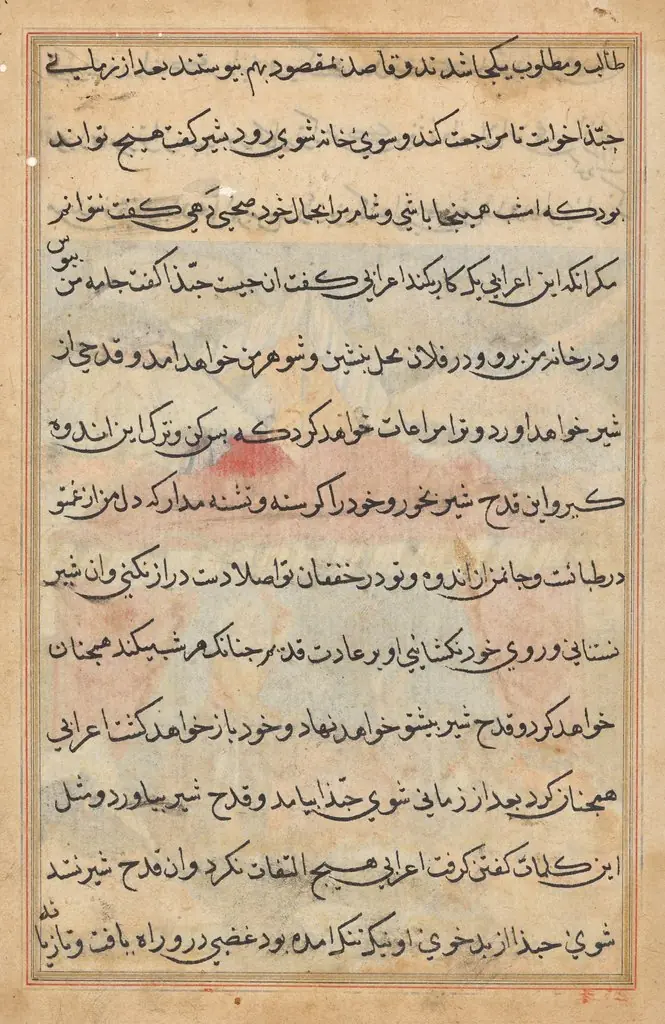 Page from Tales of a Parrot (Tuti-nama): text page
