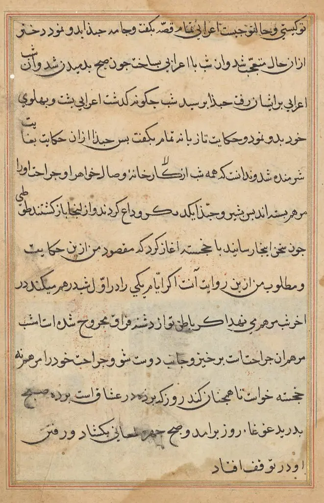 Page from Tales of a Parrot (Tuti-nama): text page