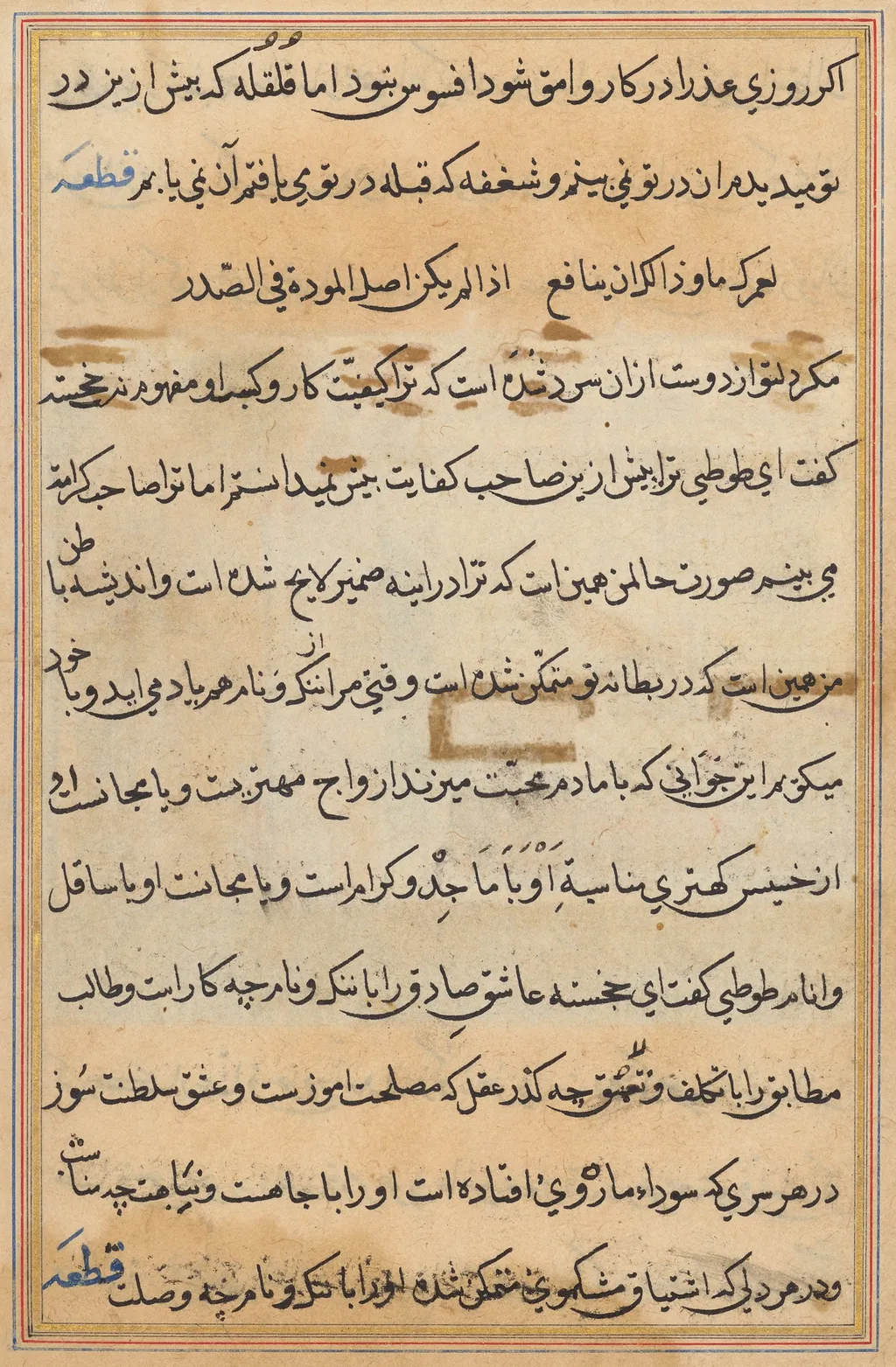 Page from Tales of a Parrot (Tuti-nama): text page, unspecified, 1560