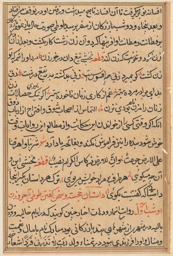 Page from Tales of a Parrot (Tuti-nama): text page