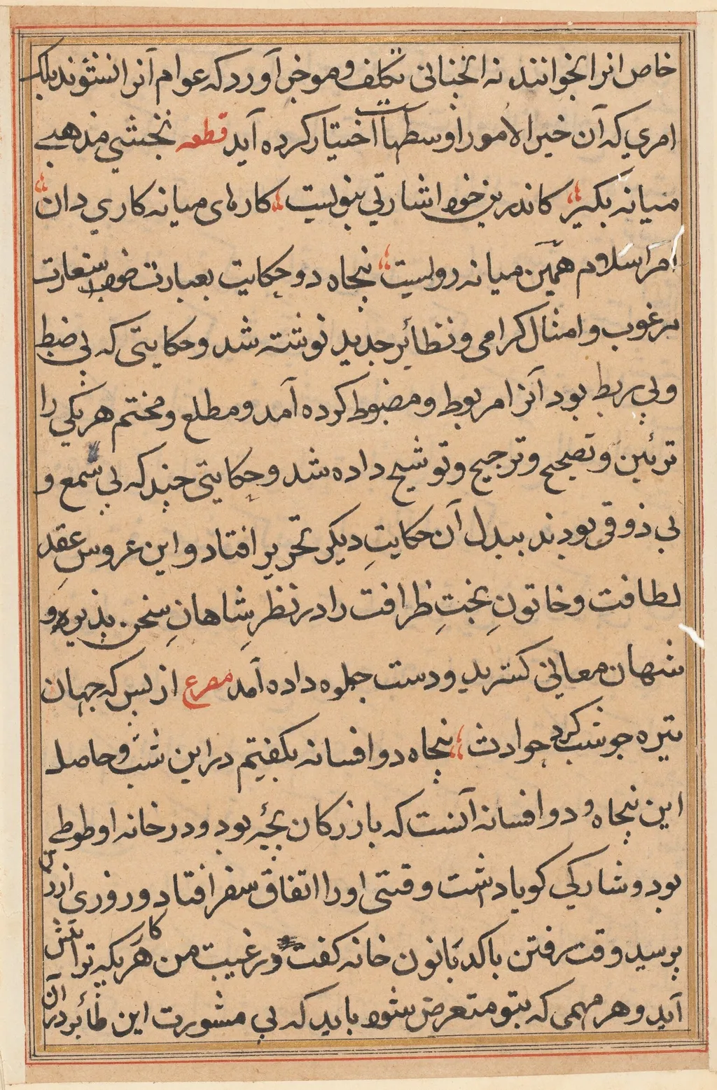 Page from Tales of a Parrot (Tuti-nama): text page, unspecified, 1560