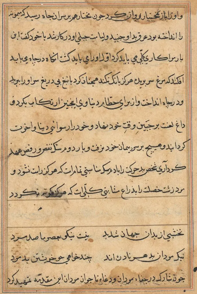 Page from Tales of a Parrot (Tuti-nama): text page