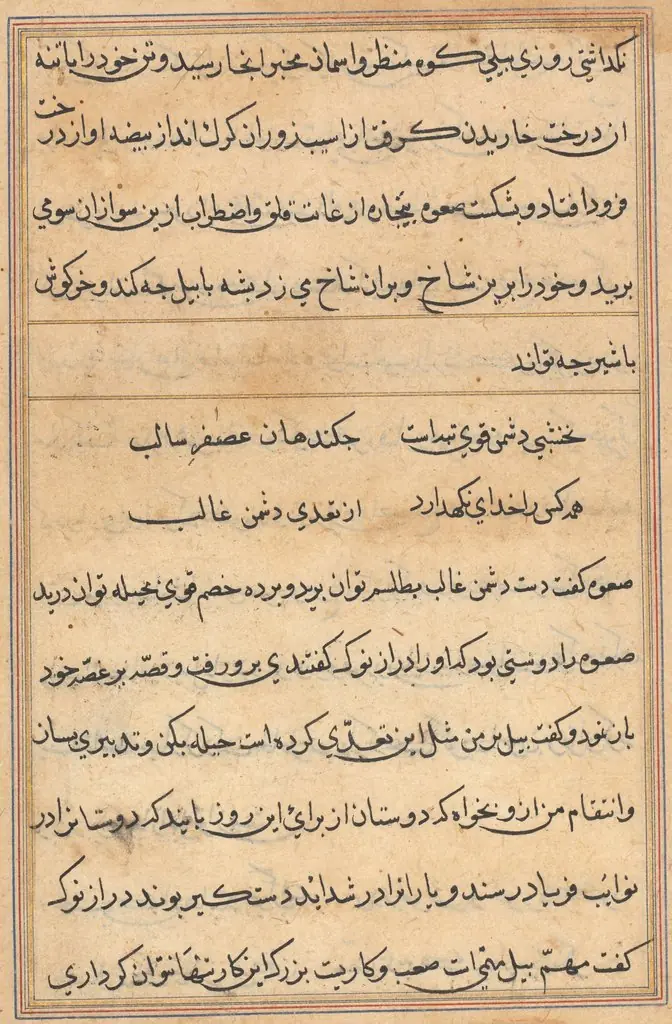 Page from Tales of a Parrot (Tuti-nama): text page