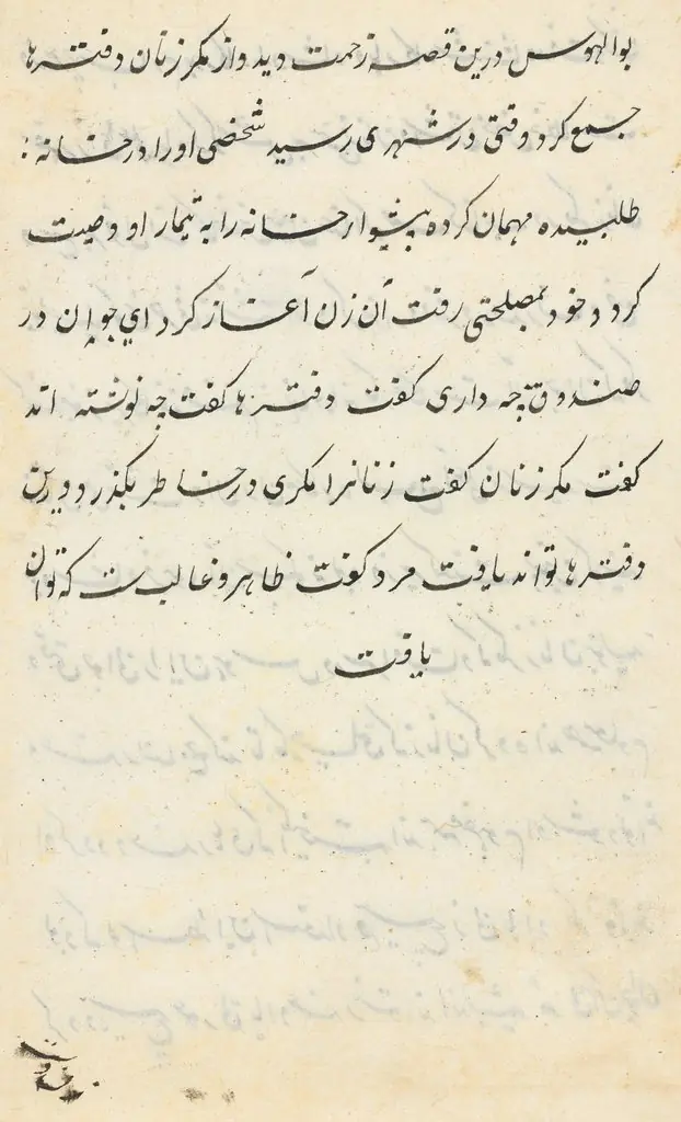 Page from Tales of a Parrot (Tuti-nama): text page