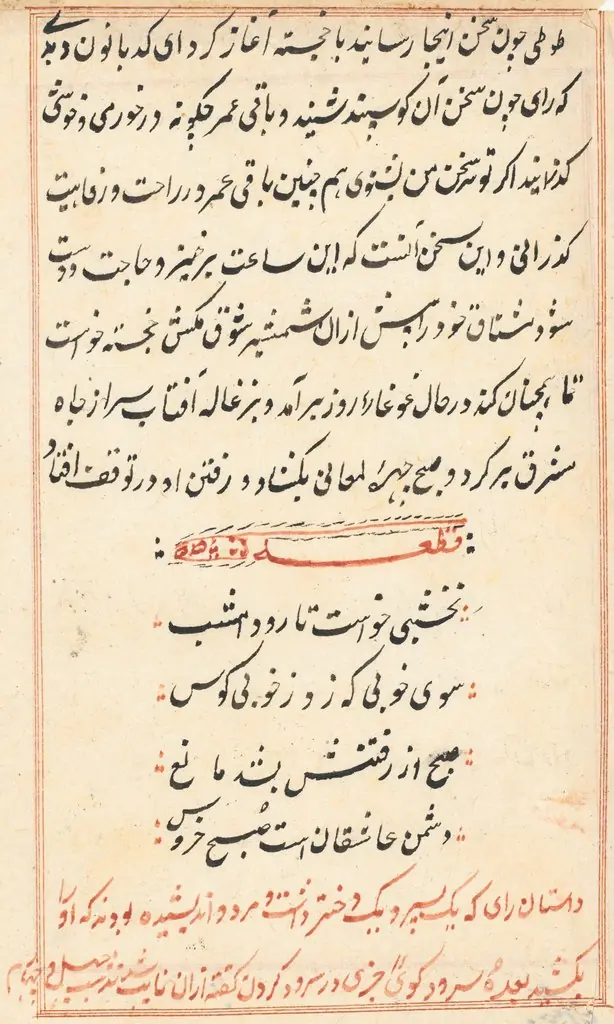 Page from Tales of a Parrot (Tuti-nama): text page