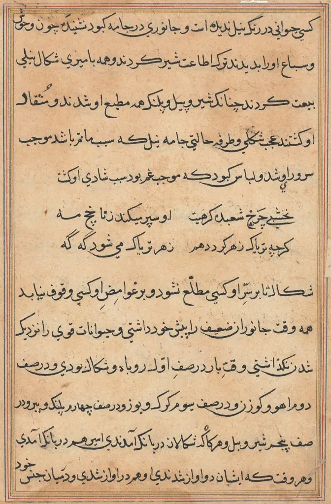Page from Tales of a Parrot (Tuti-nama): text page