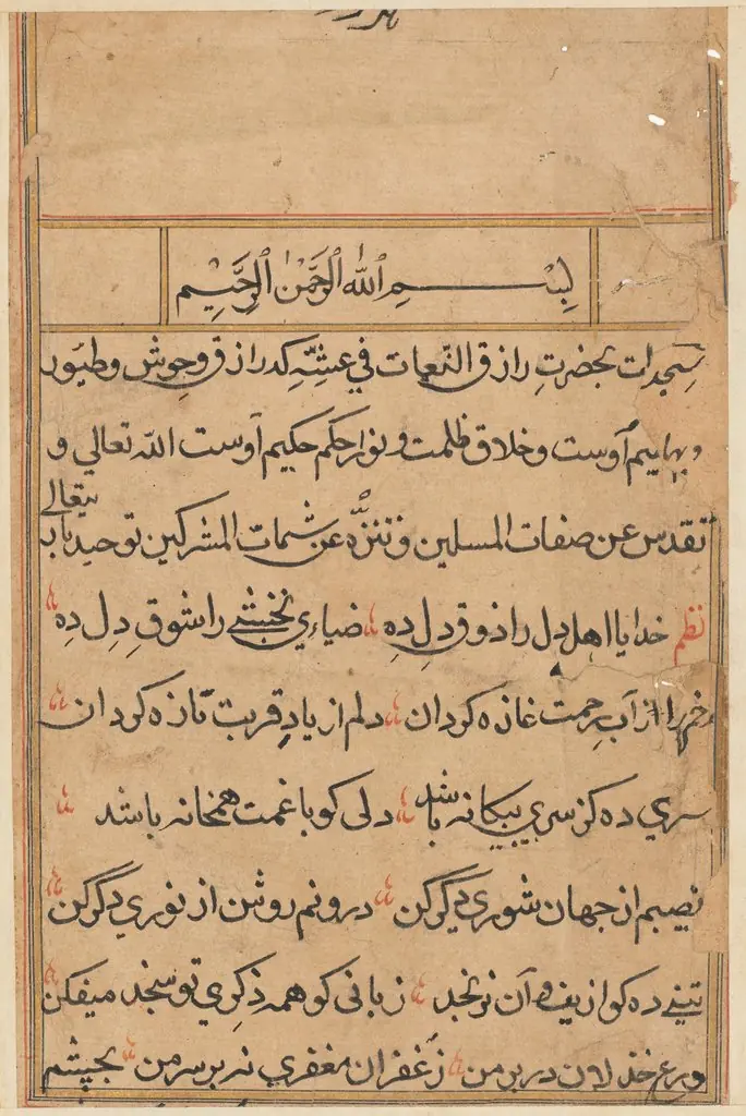 Page from Tales of a Parrot (Tuti-nama): text page, 1560