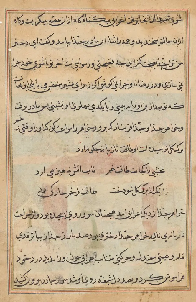 Page from Tales of a Parrot (Tuti-nama): text page