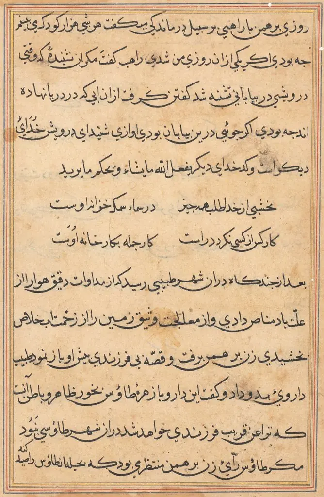 Page from Tales of a Parrot (Tuti-nama): text page