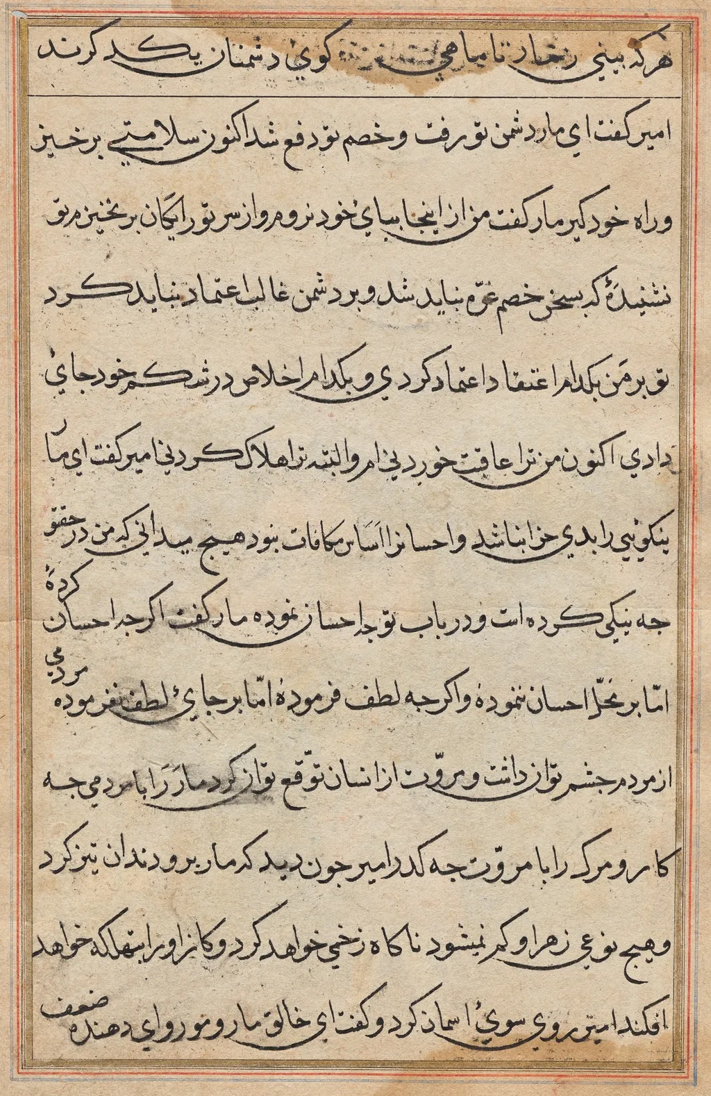 Page from Tales of a Parrot (Tuti-nama): text page, unspecified, 1560