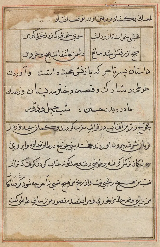 Page from Tales of a Parrot (Tuti-nama): text page
