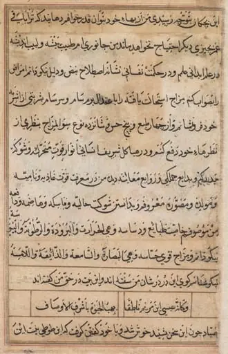 Page from Tales of a Parrot (Tuti-nama): text page